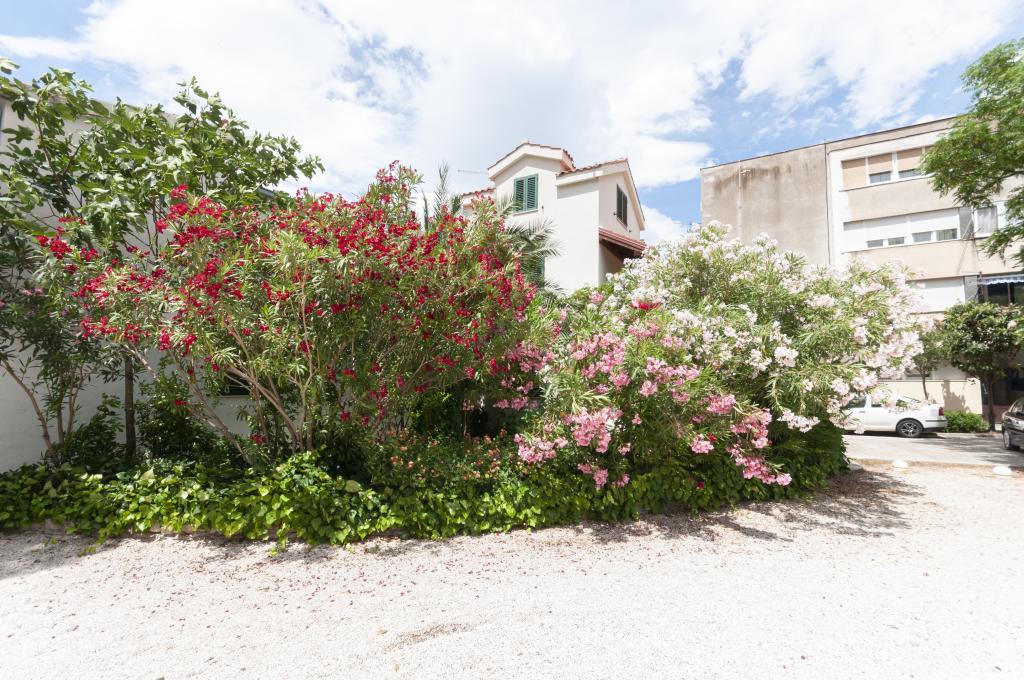 Apartman Villa Terapija – fotografija 3