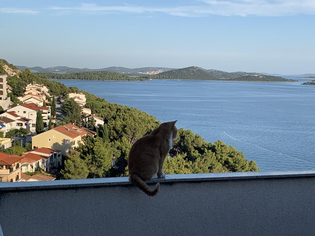 Apartman Perica – fotografija 3