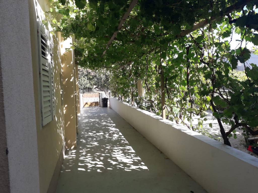 Apartmani Zlata – fotografija 5