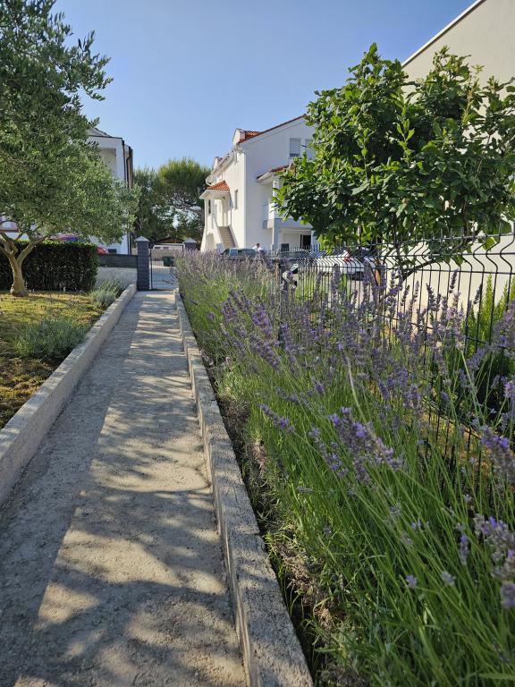 Apartman Olea – fotografija 5