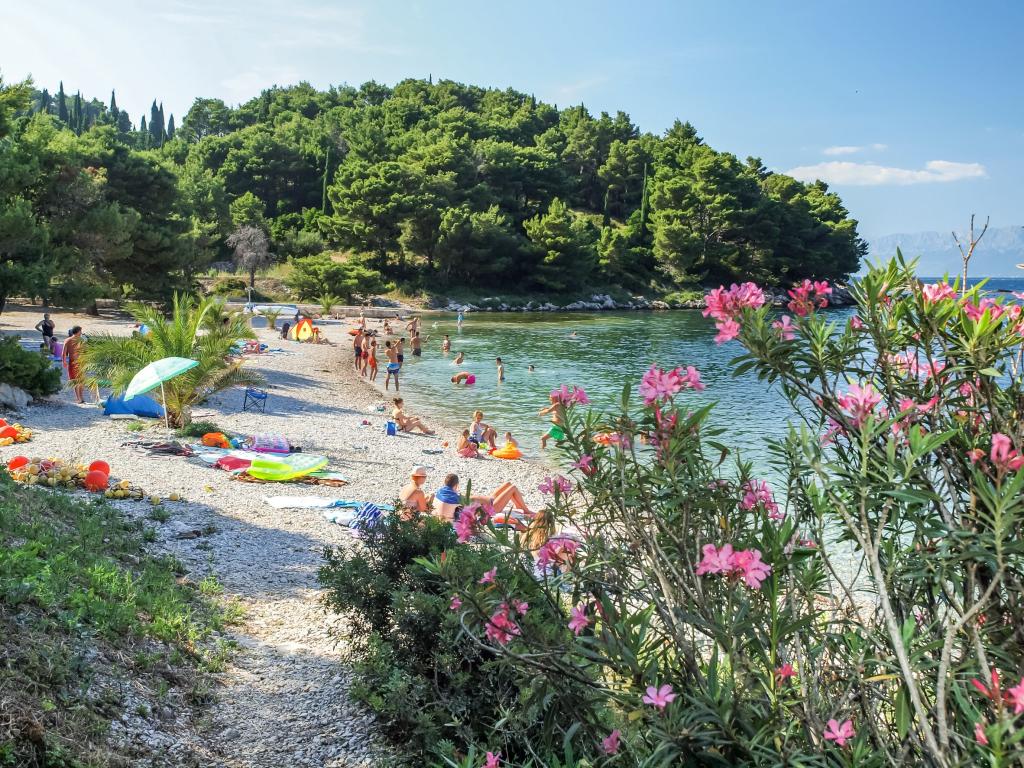 Apartmani Ana – fotografija 4