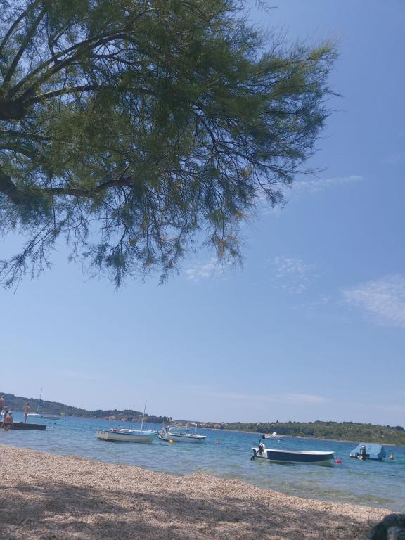 Apartmani Maestral Jugo Bura – fotografija 4