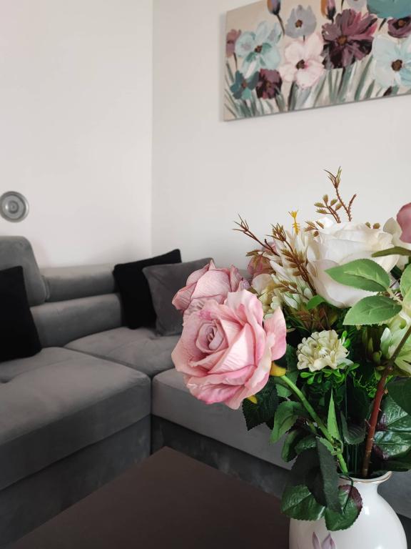Apartman Eva – fotografija 3