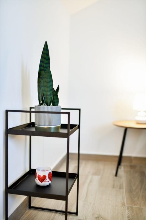 Apartmani Cvita – fotografija 5