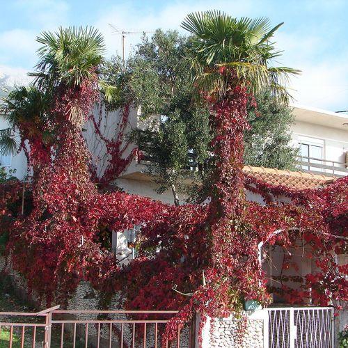 Apartmani Goge – fotografija 4