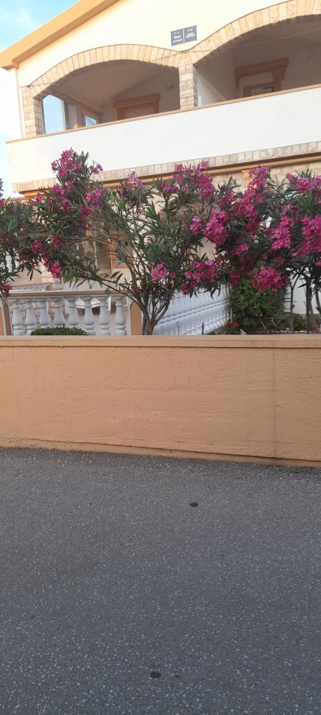 Apartmani Branko i Matija – fotografija 2