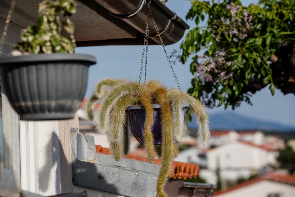 Apartmani Fabijanić – fotografija 4