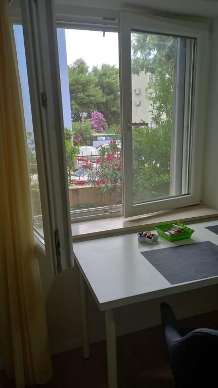 Apartmani Zenta Zsa Zsa – fotografija 3