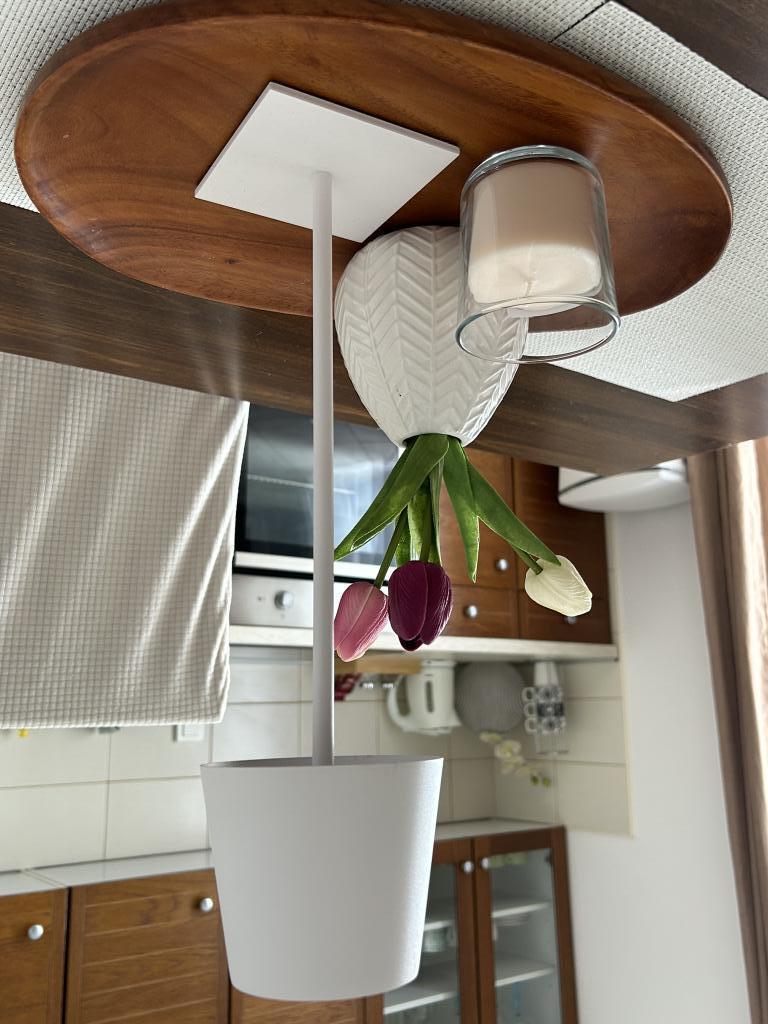 Apartmani Ruža – fotografija 3