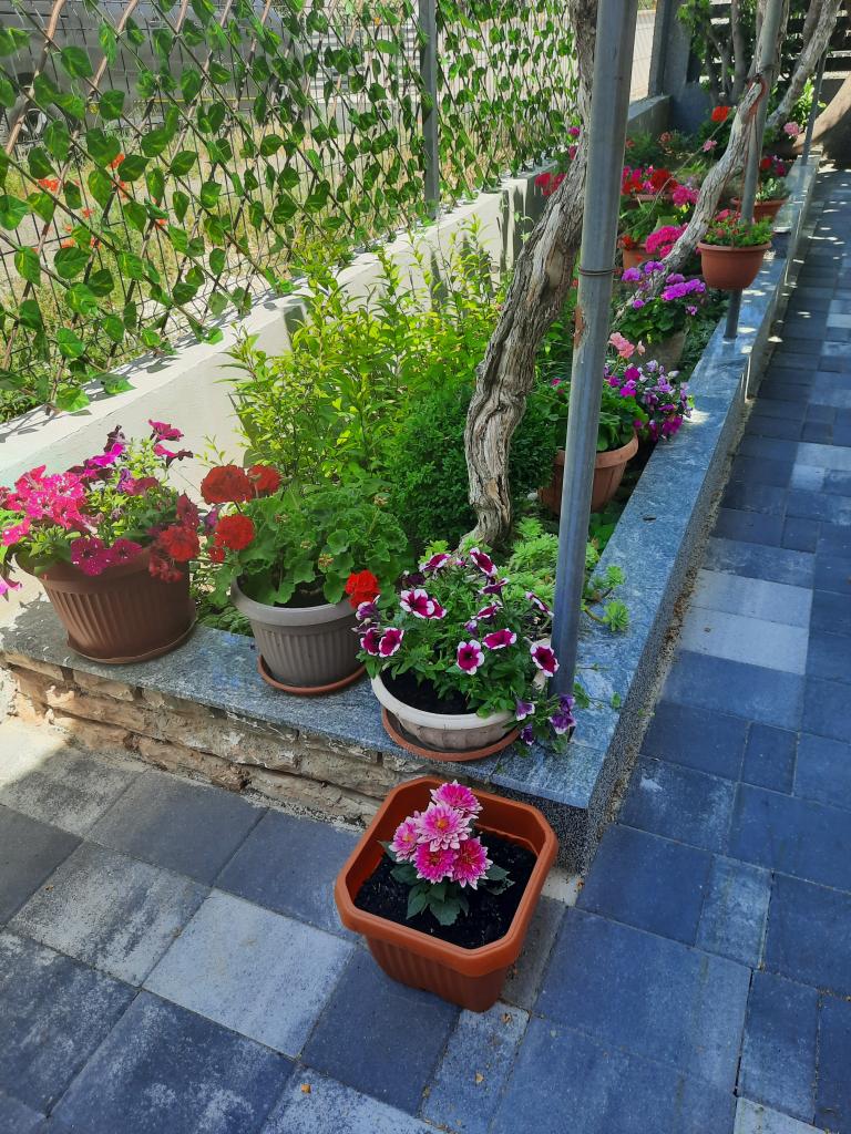 Apartmani Silvija – fotografija 5