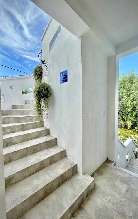 Apartmani Olive – fotografija 3