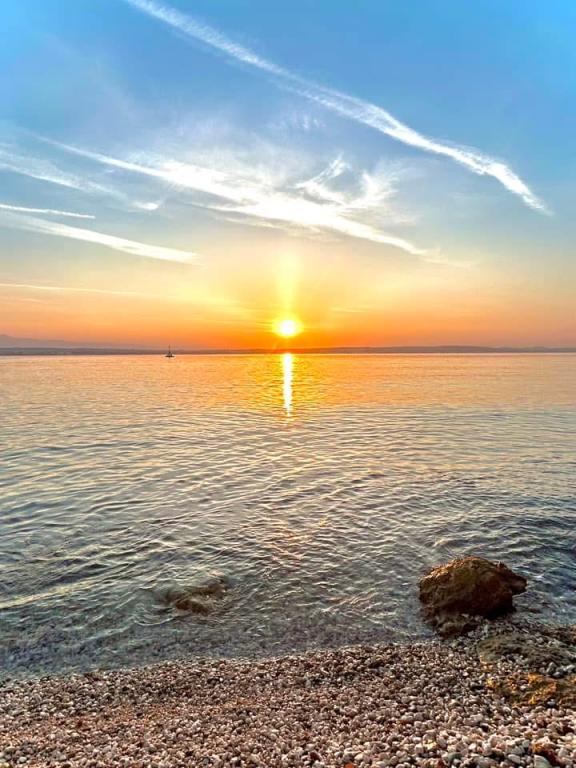 Apartmani Olive – fotografija 4