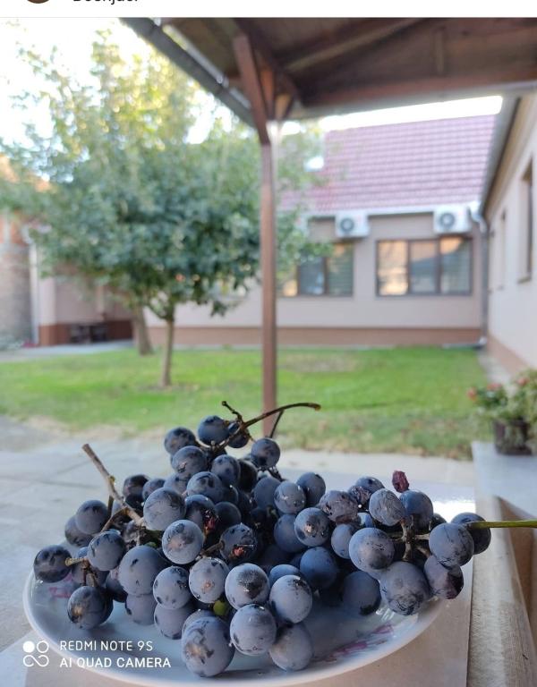 Sobe OPG Juzbašić – fotografija 2