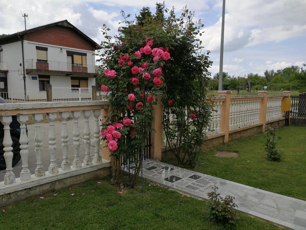 Apartmani Astra – fotografija 4