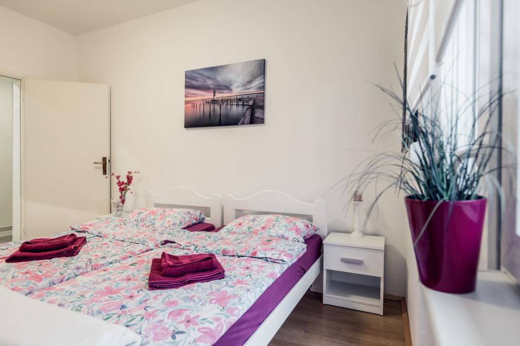 Apartmani Dunavski San – fotografija 4