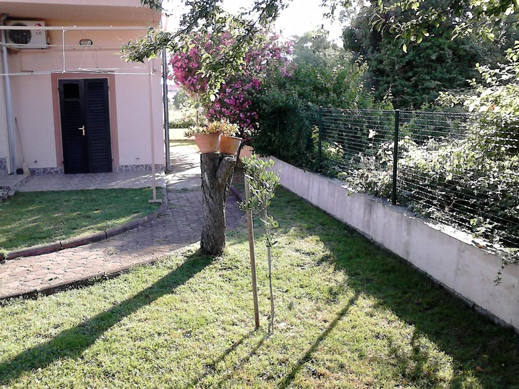 Apartmani Curiš – fotografija 5