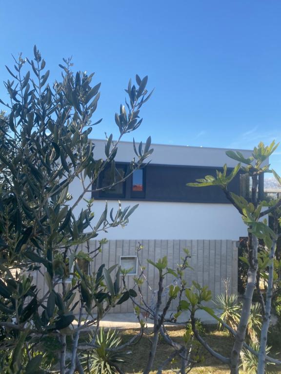 Apartmani Hrvoje – fotografija 5