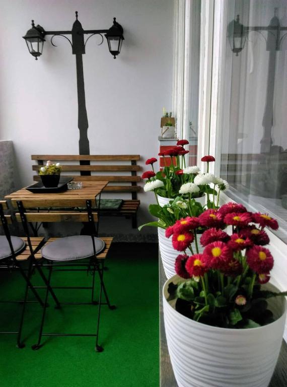 Apartman Studio Ždral – fotografija 3
