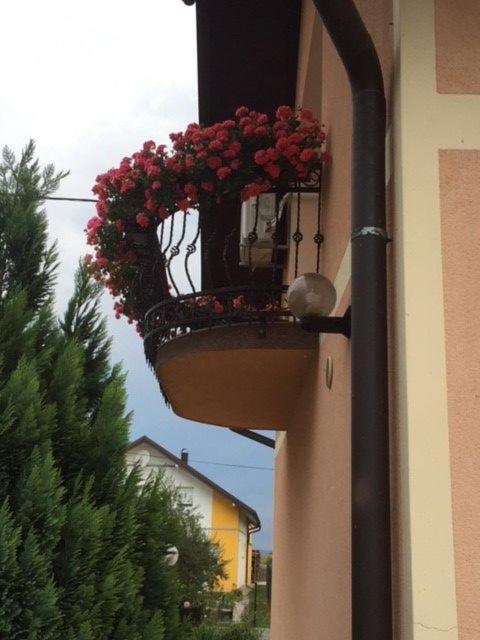 Apartman Hubertus – fotografija 2