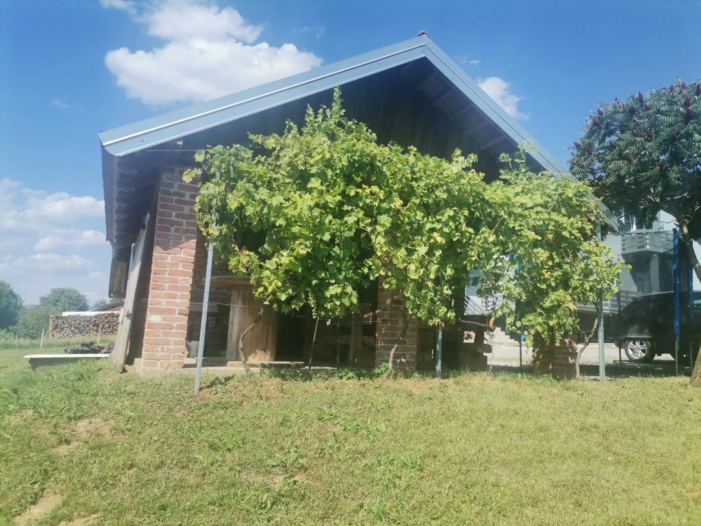 Apartman Šipa – fotografija 3