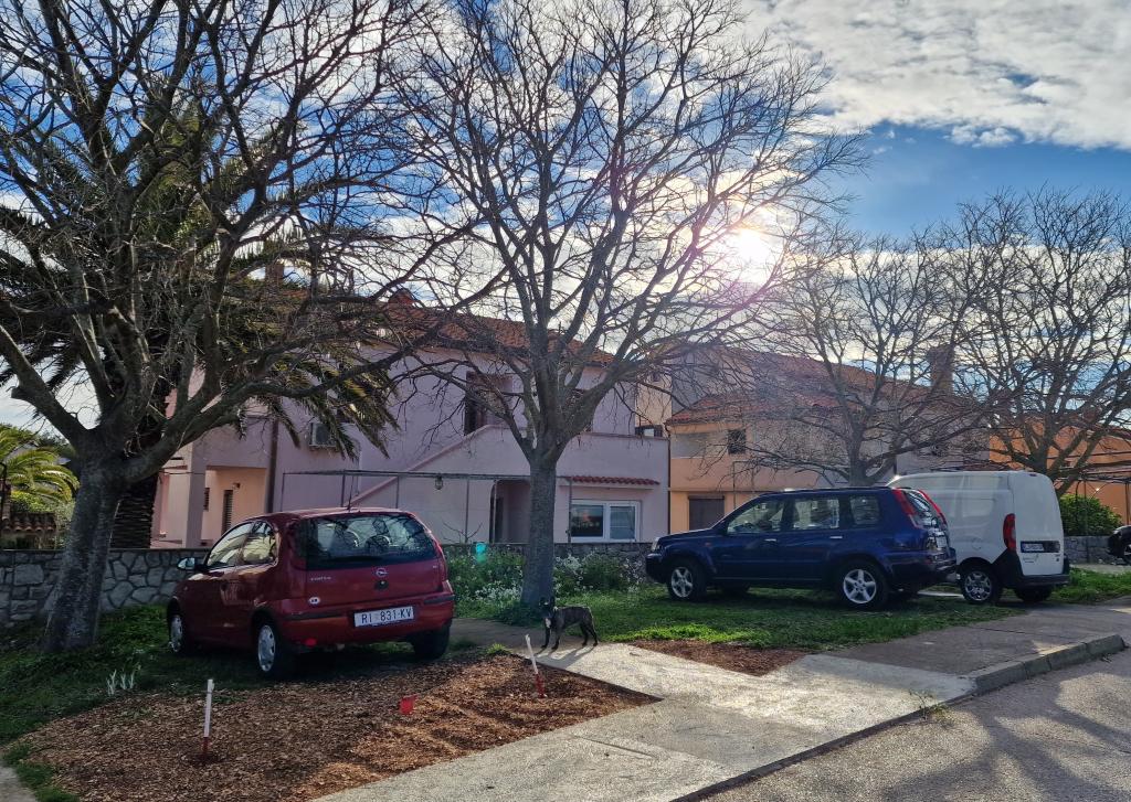 Apartmani Majda – fotografija 3