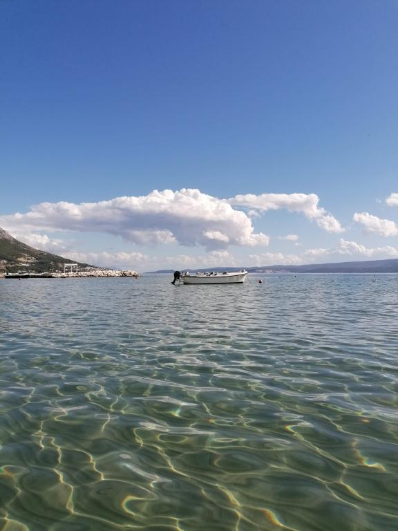 Apartmani Agava – fotografija 6