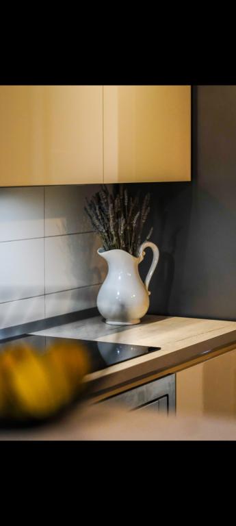Apartman Škor – fotografija 6