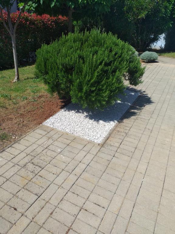Apartman Nina – fotografija 5