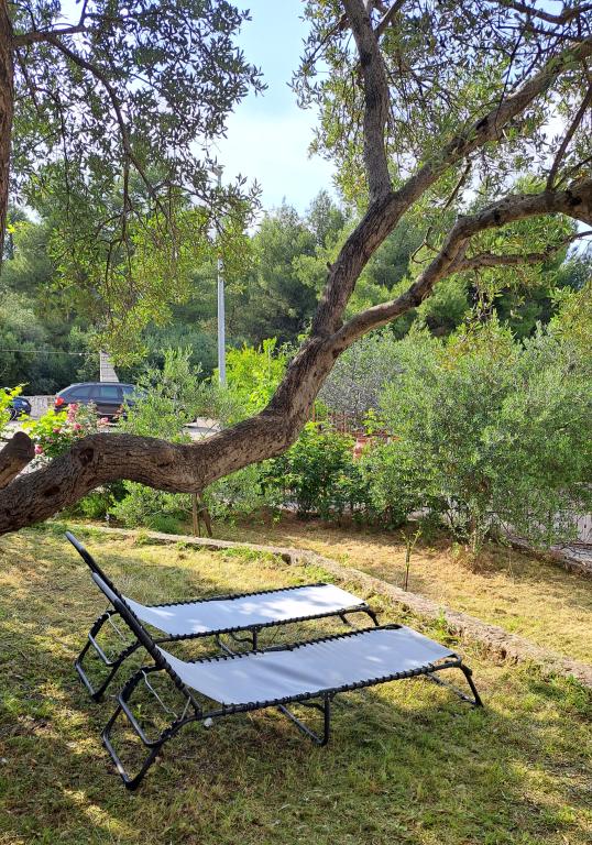 Apartmani Deluxe Milla – fotografija 4