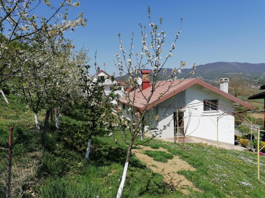Apartman Lara – fotografija 5