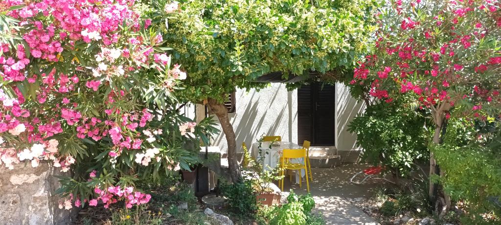 Apartmani Oleander i Glicinija – fotografija 2
