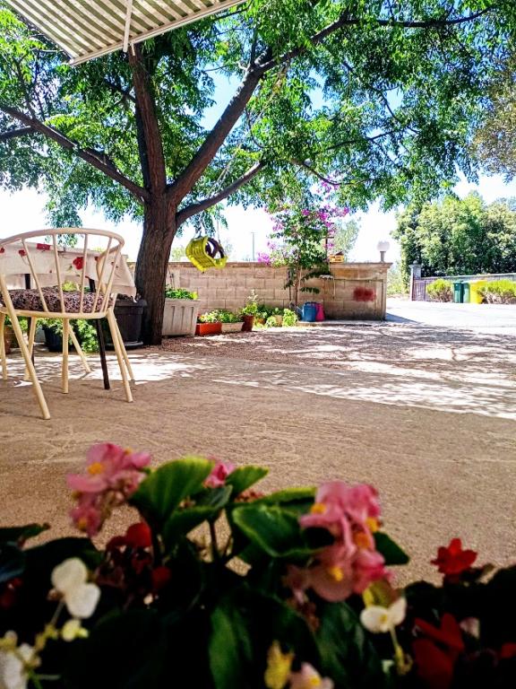Apartmani Henjak – fotografija 4