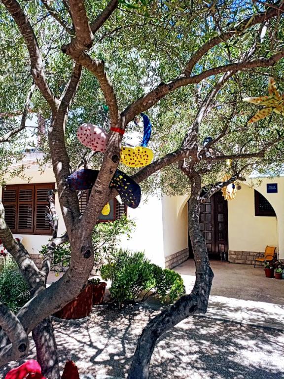 Apartmani Henjak – fotografija 6