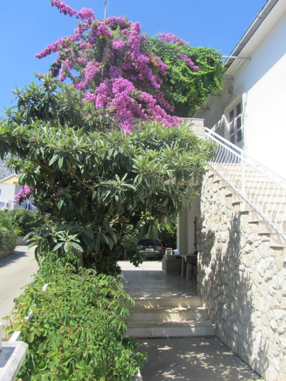 Apartman Mia – fotografija 3