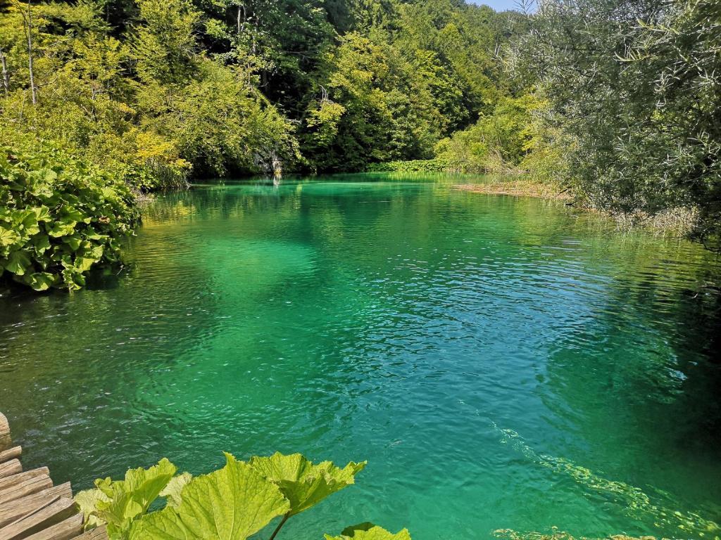 Kuća za odmor Magnus Lupus – fotografija 5