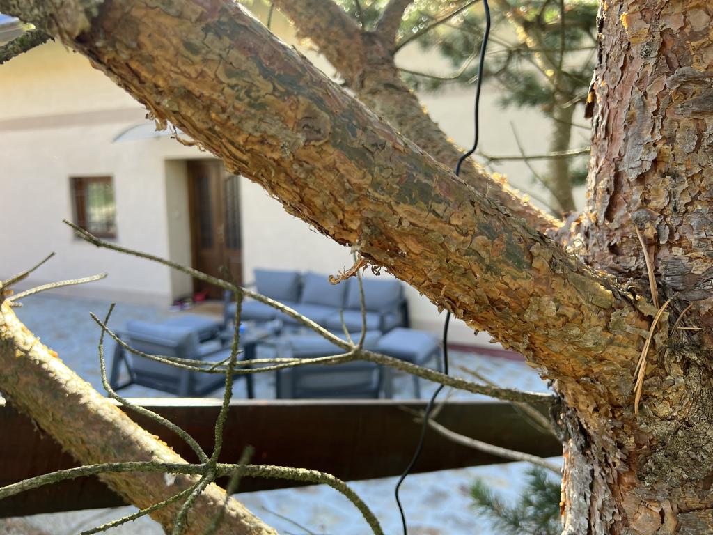 Kuća za odmor Palo Santo – fotografija 5