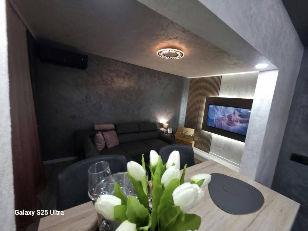 Apartman Irena – fotografija 3