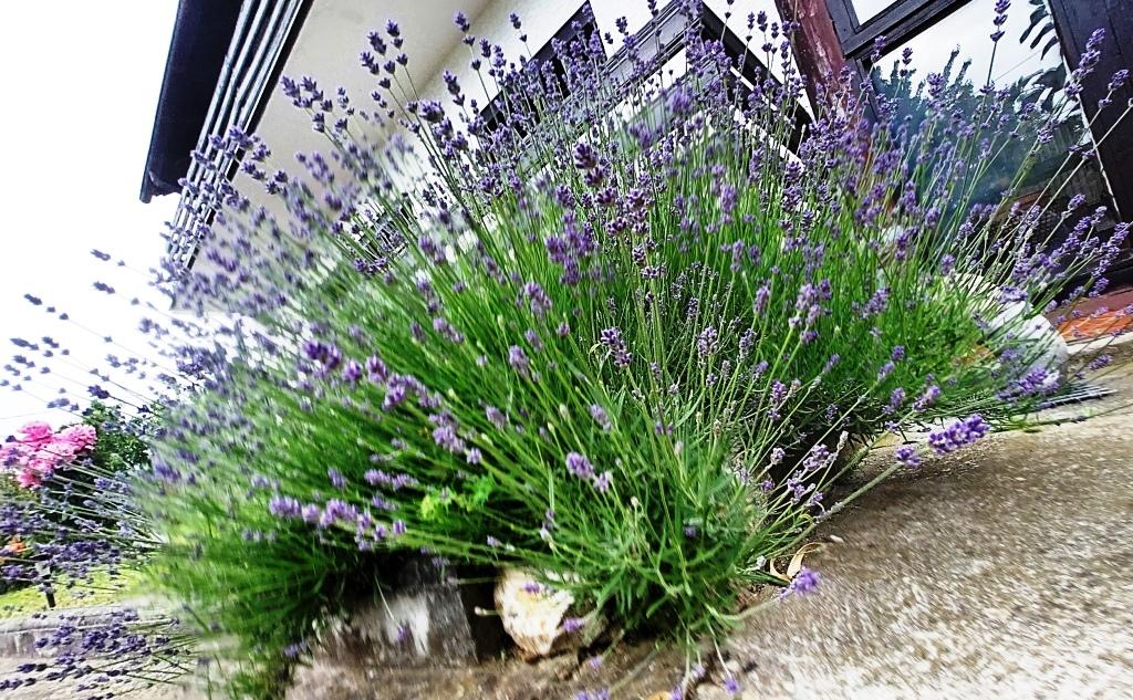 Kuća za odmor A – fotografija 3