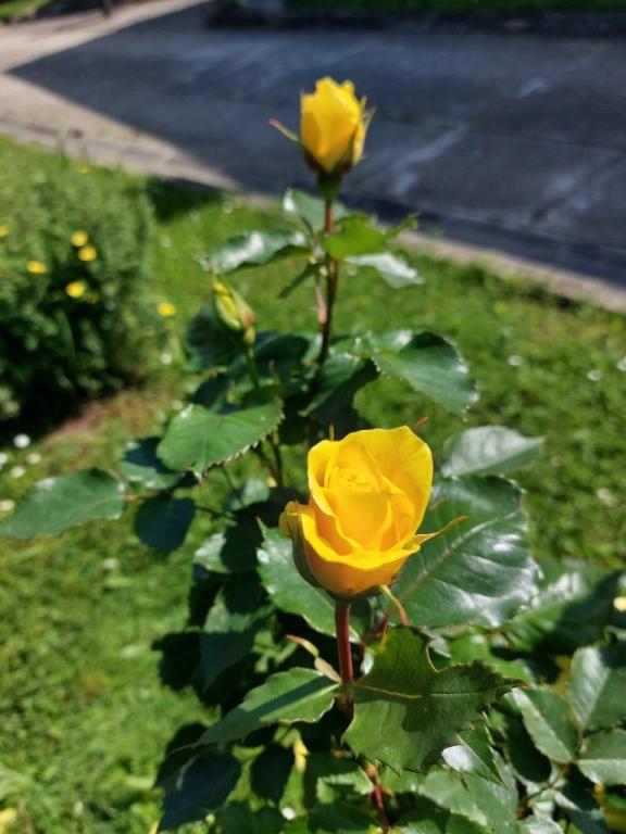 Kuća za odmor A – fotografija 5