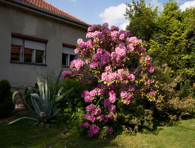 Sobe Kapetanova kuća – fotografija 4