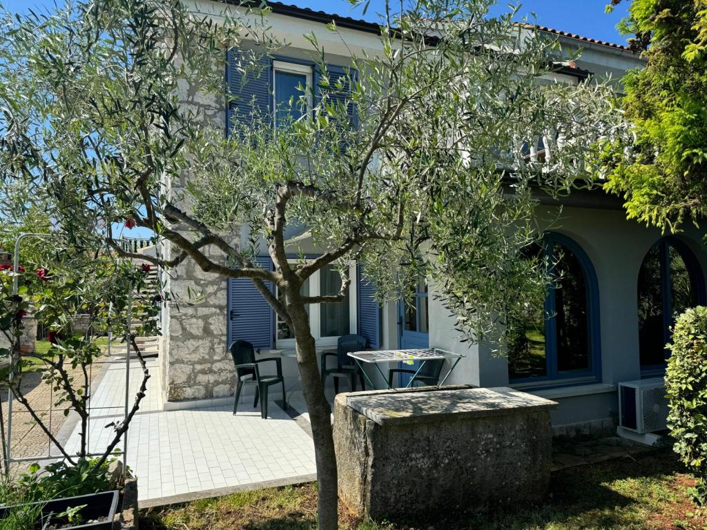 Apartmani Lavanda – fotografija 4