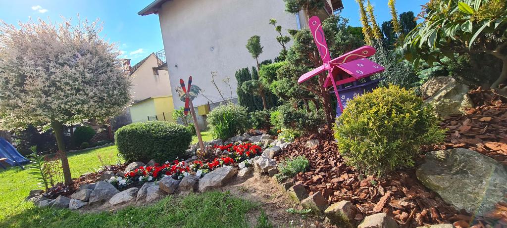 Apartmani Magić – fotografija 3