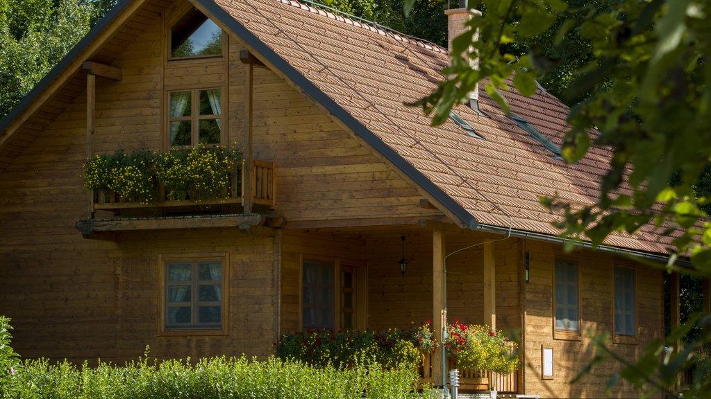 Kuća za odmor Jela – fotografija 2