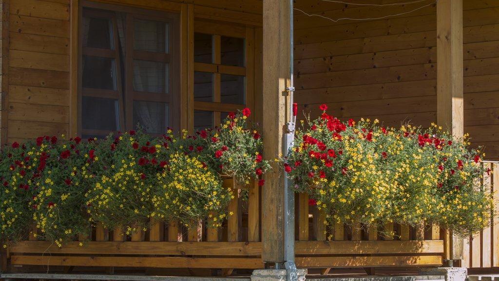 Kuća za odmor Jela – fotografija 5