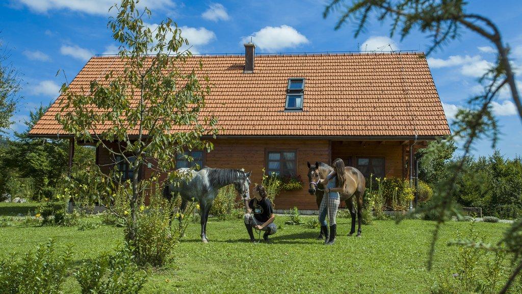 Kuća za odmor Bor – fotografija 1