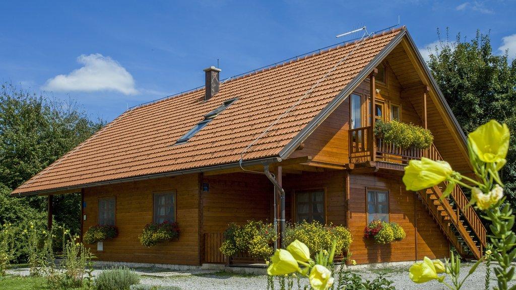 Kuća za odmor Bor – fotografija 2