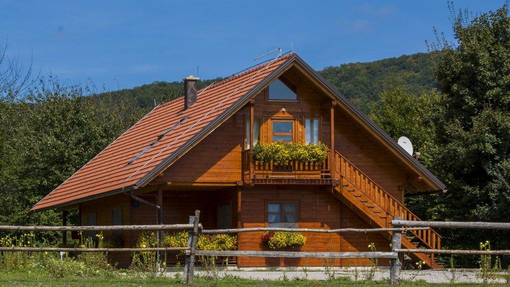 Kuća za odmor Bor – fotografija 5