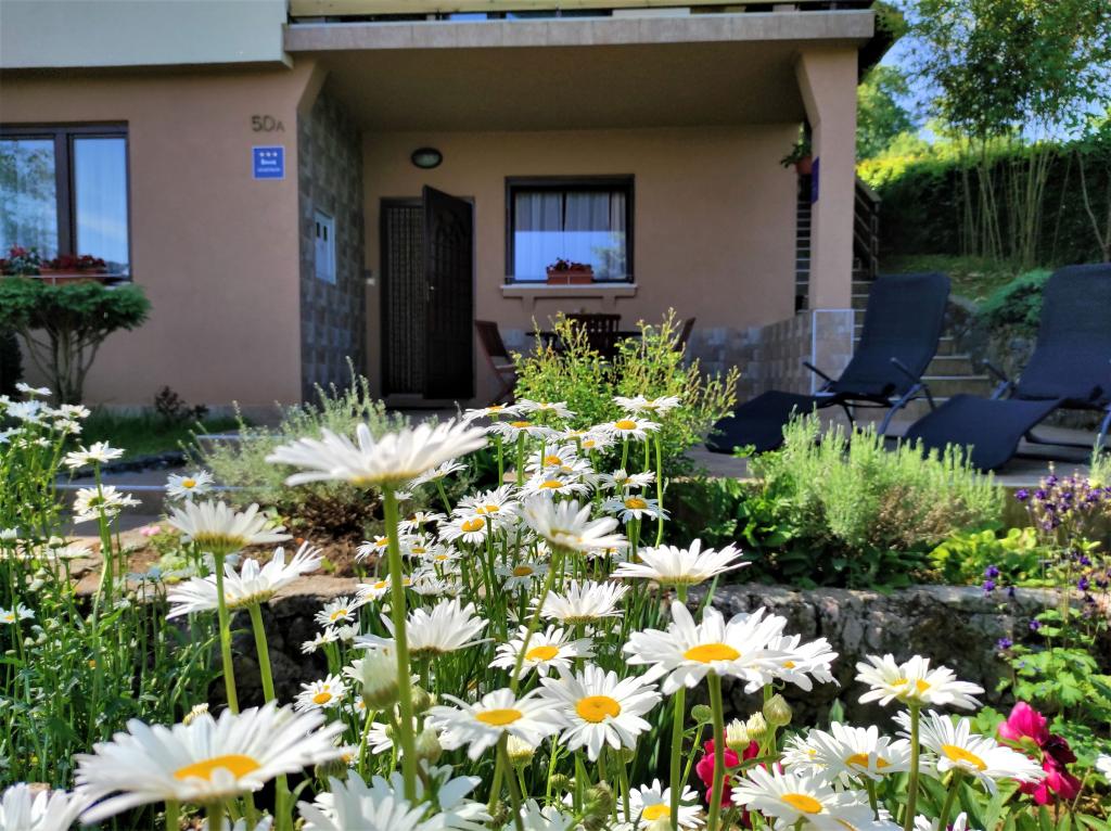 Apartman Stipčić Mrežnički Brig – fotografija 3