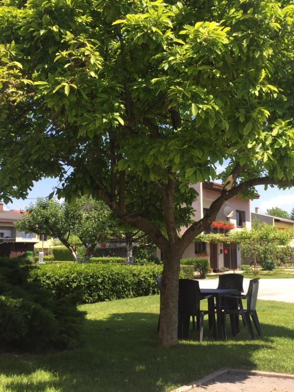 Apartman Sonas – fotografija 3