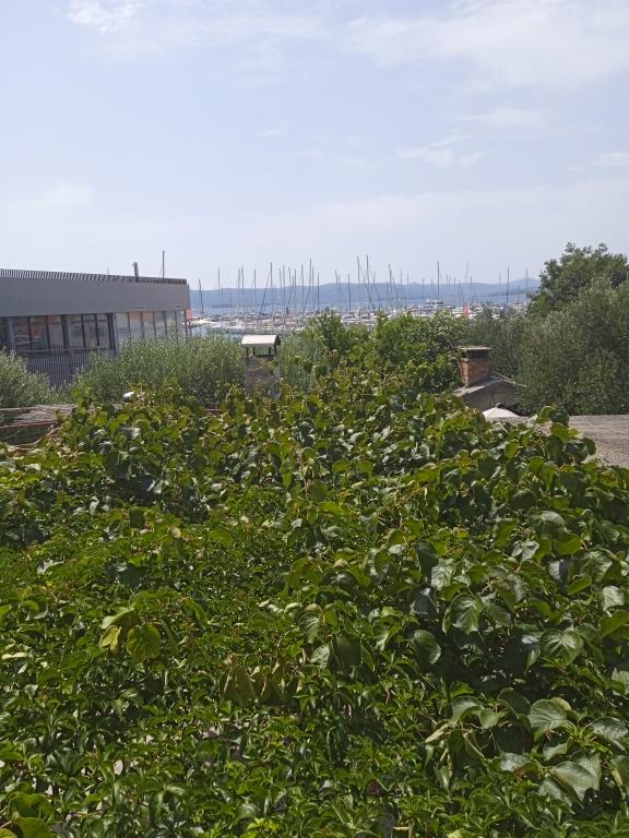 Apartman Jasmin – fotografija 3